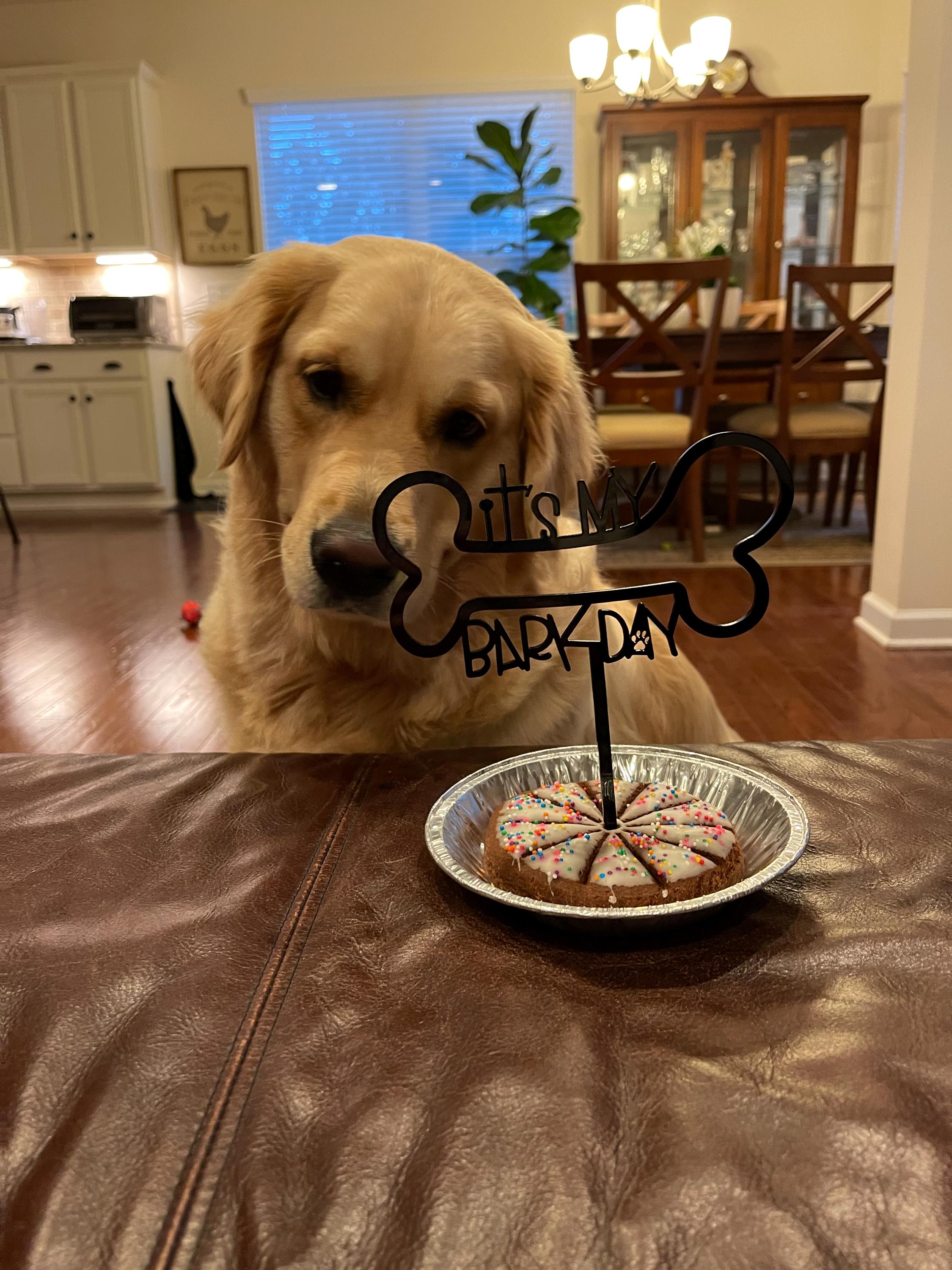 It's My Barkday Cake Topper: Dog Birthday Party Decor