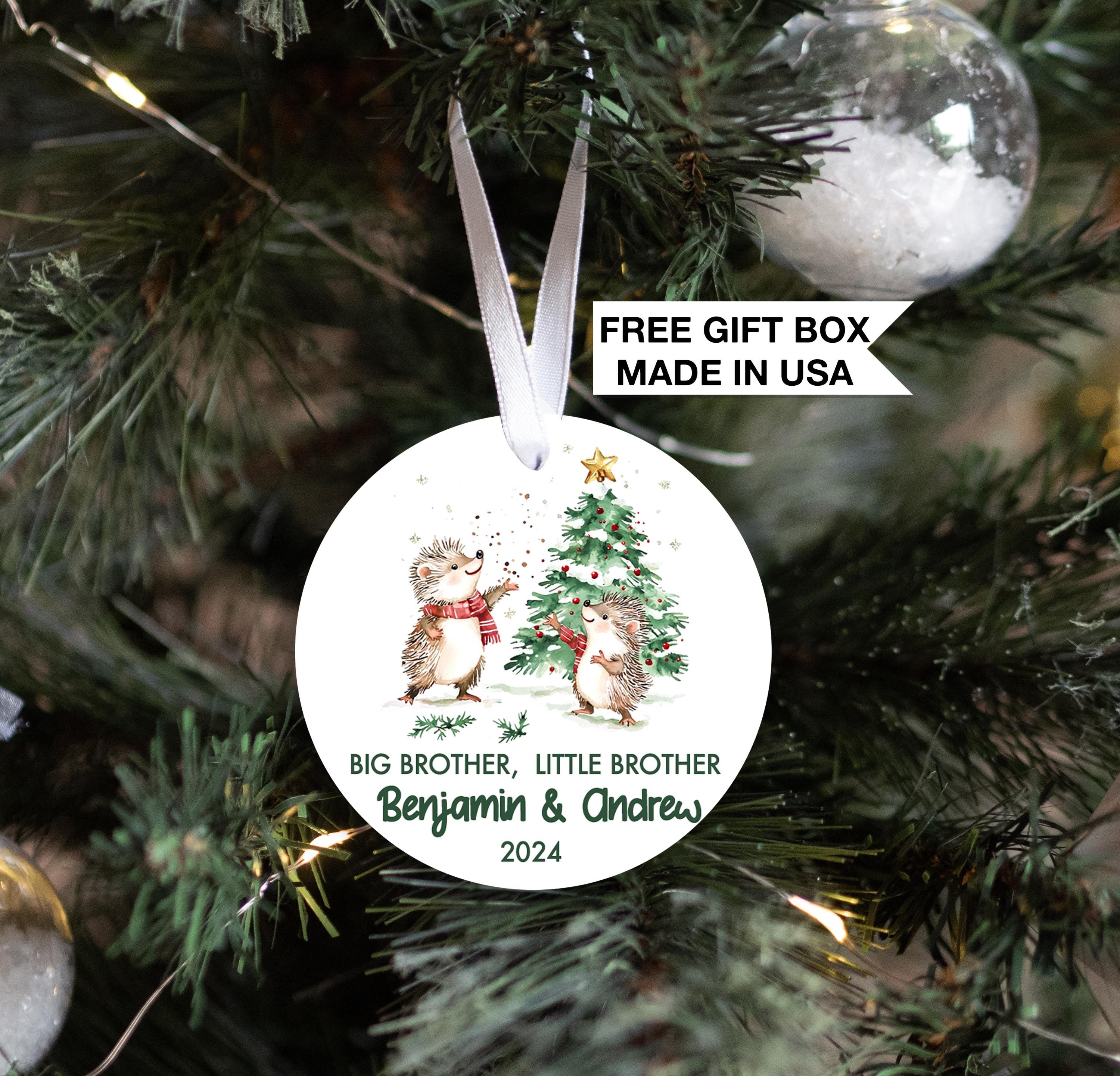 Big Brother Little Brother Hedgehog Christmas Ornament, Personalized Sibling Gift, Birth Announcement
