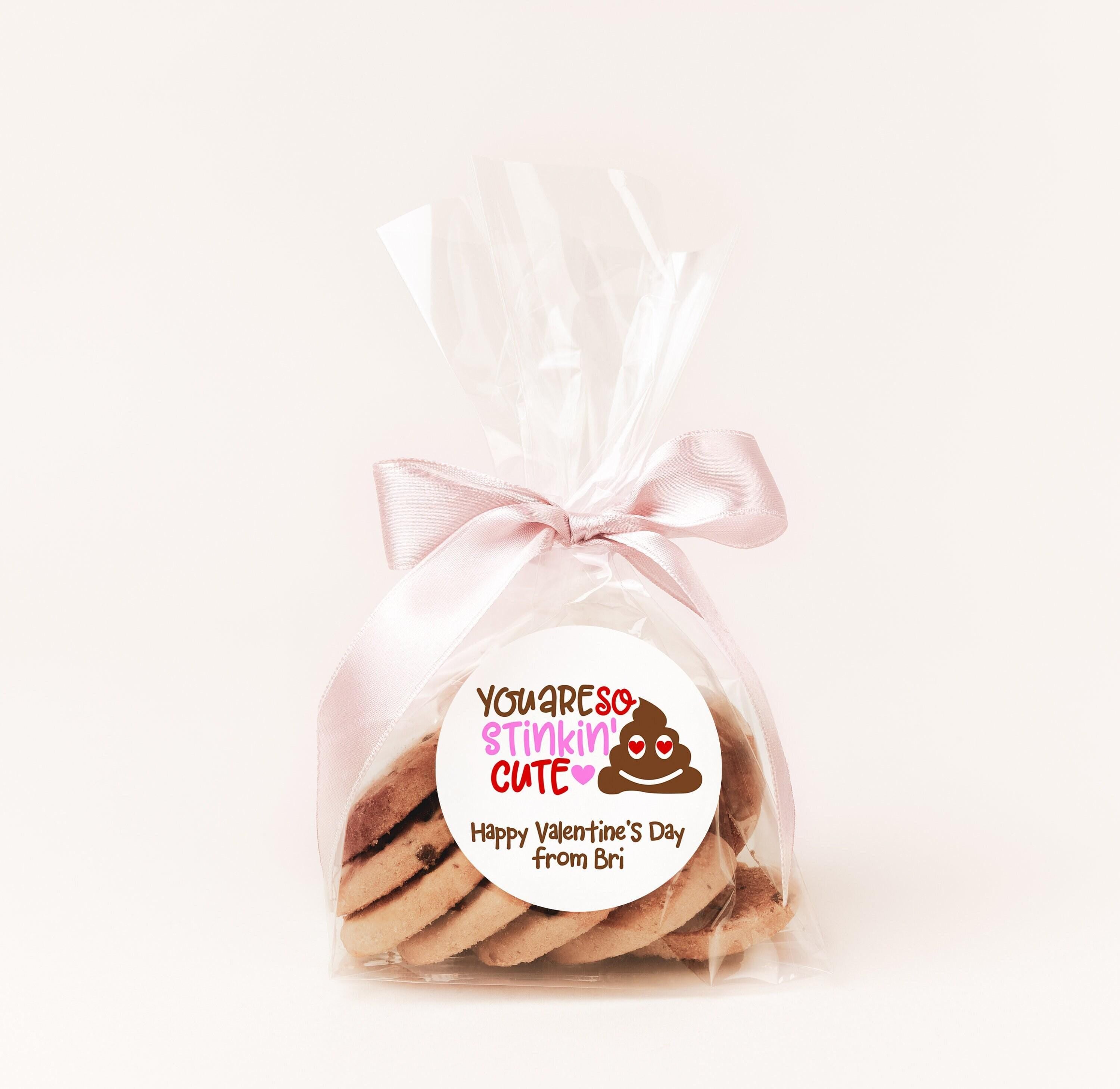 You Are So Stinkin Cute Valentines Day Stickers - Personalized Valentine Round Sticker Labels - Classroom Valentines for School