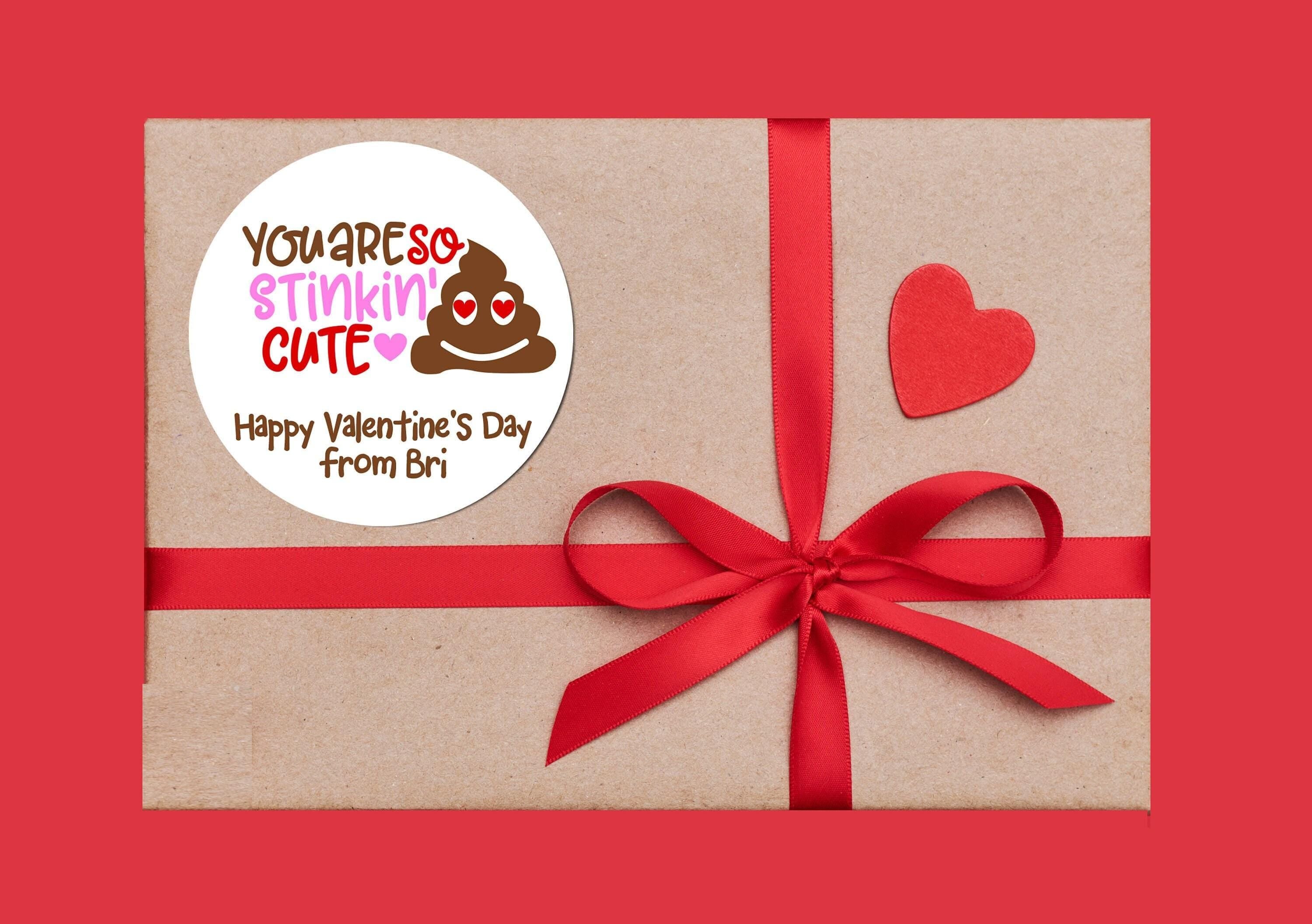 You Are So Stinkin Cute Valentines Day Stickers - Personalized Valentine Round Sticker Labels - Classroom Valentines for School
