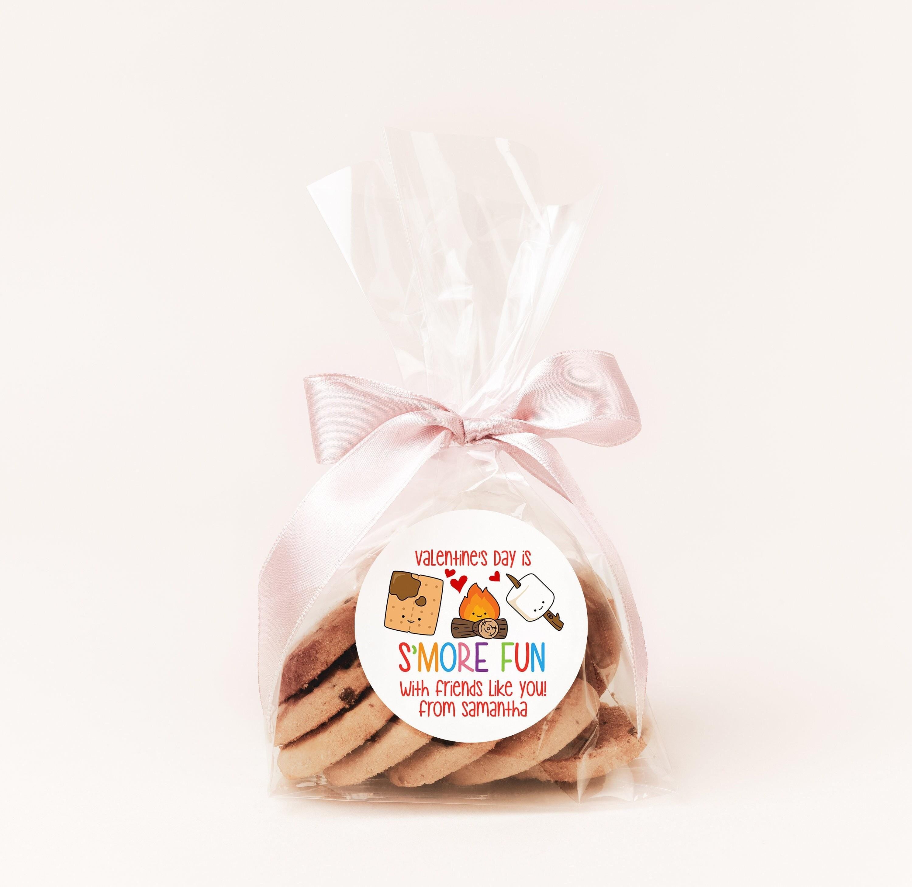 S'more Fun Valentines Day Stickers - Personalized Valentine Round Sticker Labels - Classroom Valentines for School