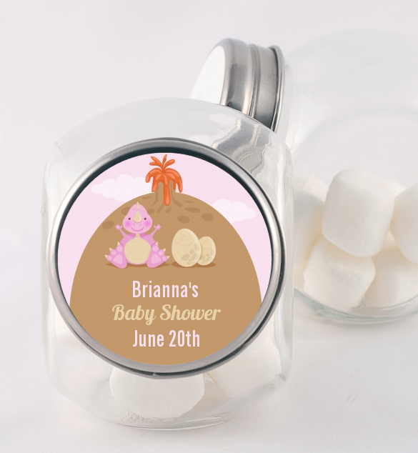 Dinosaur Baby Girl - Personalized Baby Shower Candy Jar