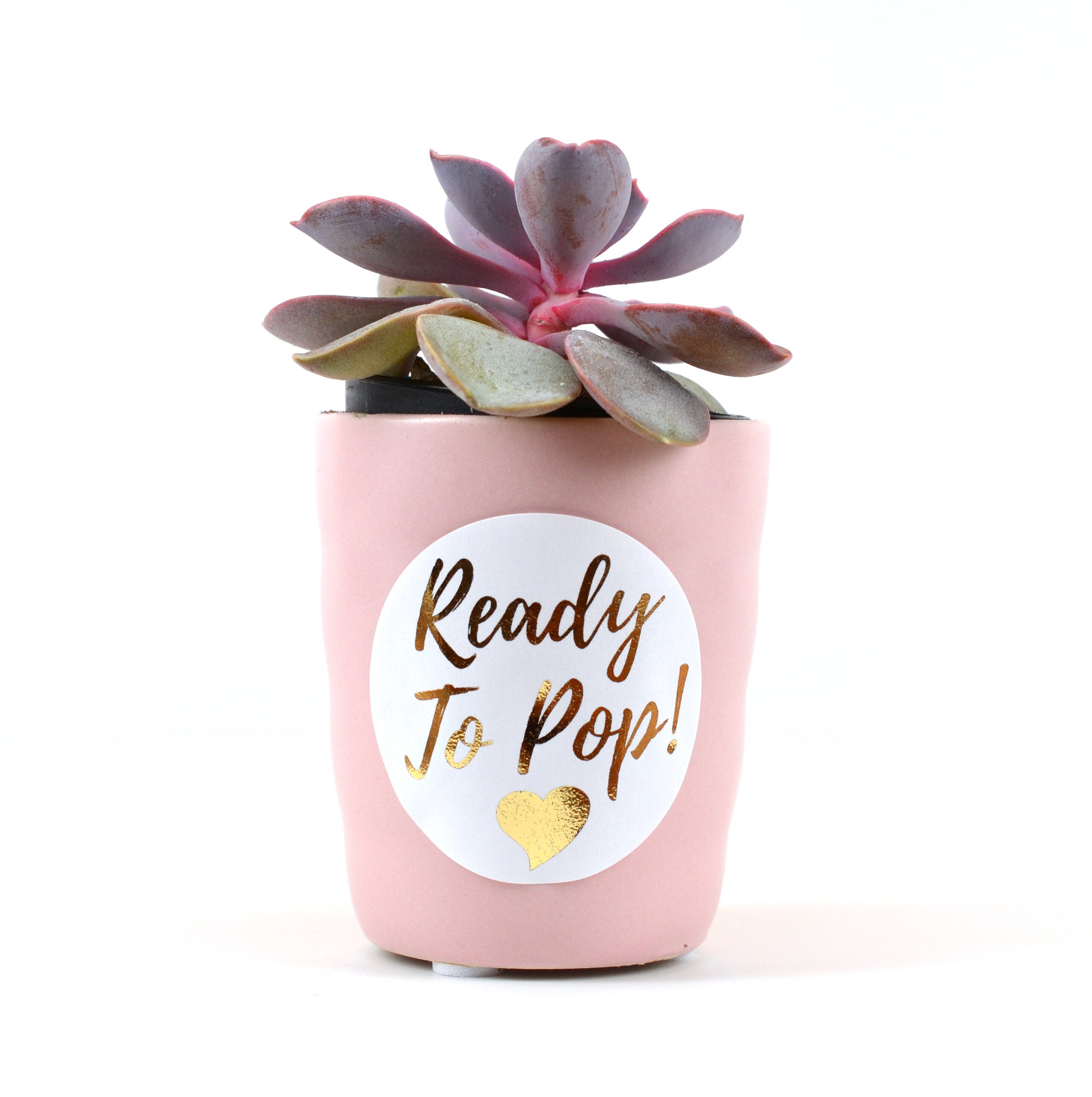 Personalized Ready To Pop Gold Foil Baby Shower Stickers