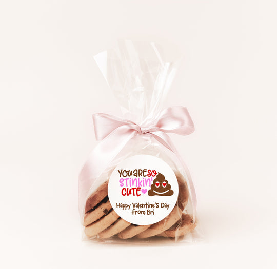 You Are So Stinkin Cute Valentines Day Stickers - Personalized Valentine Round Sticker Labels - Classroom Valentines for School