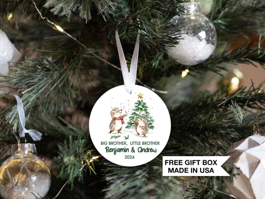 Big Brother Little Brother Hedgehog Christmas Ornament, Personalized Sibling Christmas, Announcement New Brother, Newborn Gift for Parents