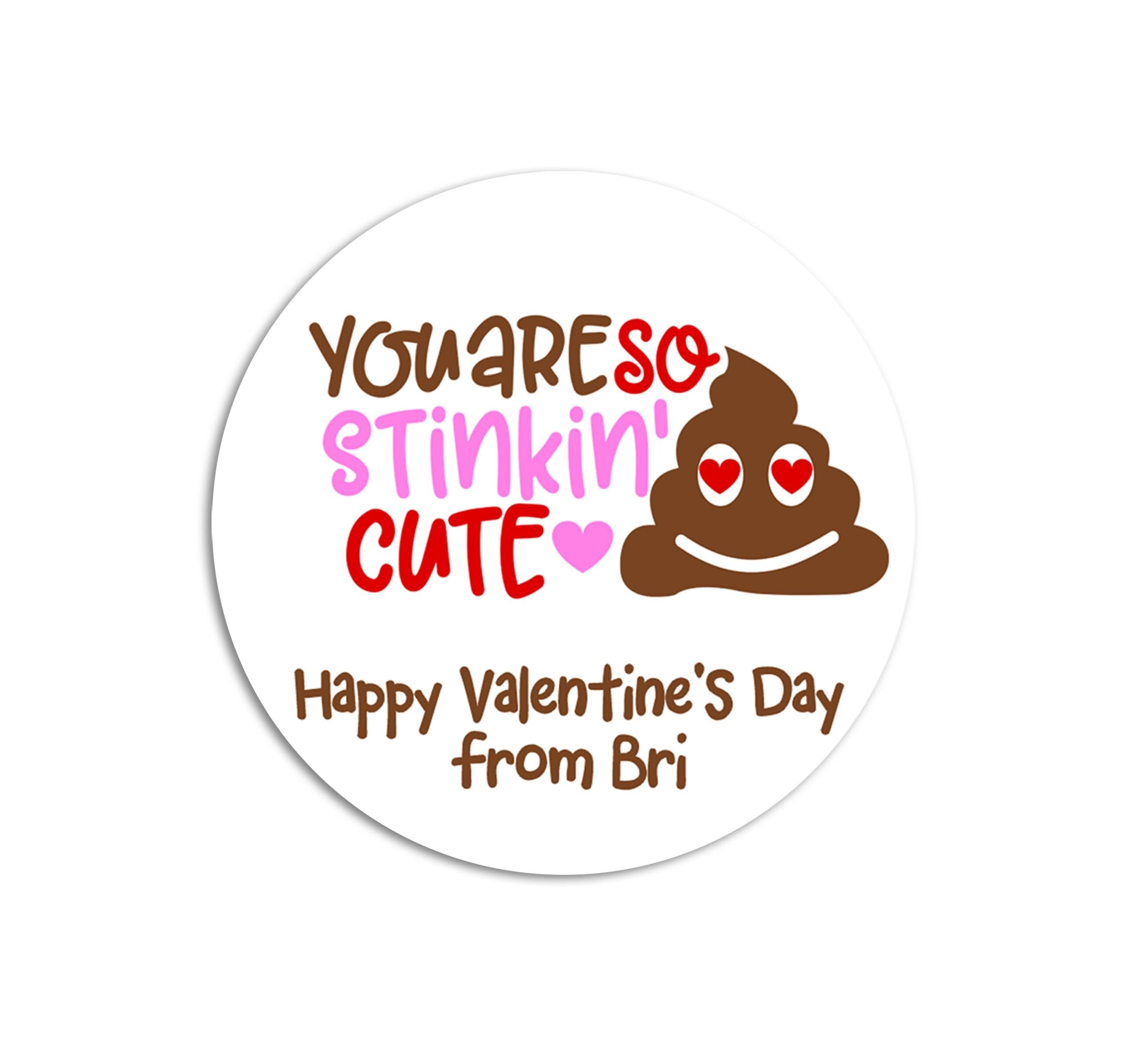 You Are So Stinkin Cute Valentines Day Stickers - Personalized Valentine Round Sticker Labels - Classroom Valentines for School