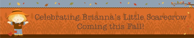 Scarecrow Fall Theme - Personalized Baby Shower Banners